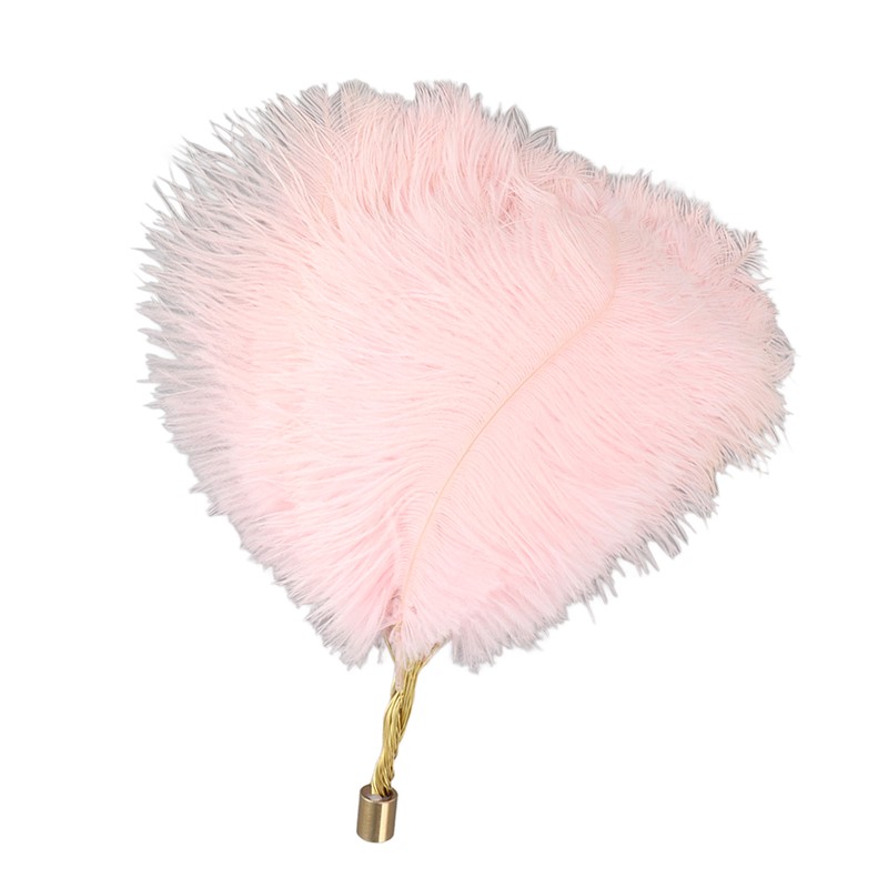 Ostrich Feather Table Lamp Rechargeable Modern Romantic Decoration Lamp Bedroom