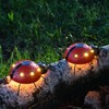 Lanito Garden Light, Solar Light, Ladybug Light, Solar Figurine Light,