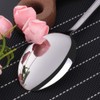 SUNSENGEUR 12-Piece Stainless Steel Dinner Spoons, Stainless Steel Dinner Spoons