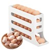 Jidyllic 4-Tier Auto Rolling Egg Dispenser,Automatic Scrolling Egg Rack Holder