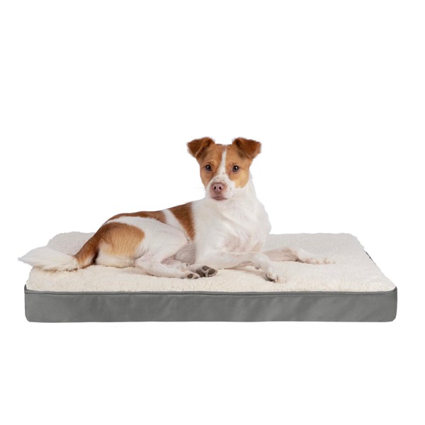 Best Pet Supplies Cute Dog Bed Mat Flat Mattress with