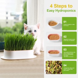 Hydroponic Cat Grass Growing Kit with Germination Tray - Indoor Gardening System for Pets, Soil-Free Planter Without Seeds