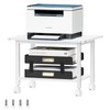 Lerliuo Under Desk Printer Stand, 2-Tier Industrial Mobile Printer Table