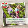 Sperli 82746 Lamb's Lettuce (Rapunzel) Vit (MaxiPack) (Salad Seeds)