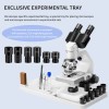 High Quality 40X-2000X LED-illuminated Binocular Microscopes Educate Biology Students and