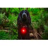 Mountain Paws Dog Collar Safety Light, 4 Colour Modes &
