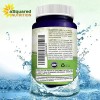 Nicotinamida 500 Resveratrol Precursor Nad Gmp