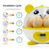 PAIDUOJI Home Use Incubator Automatic Temperature Control Digital Mini Egg