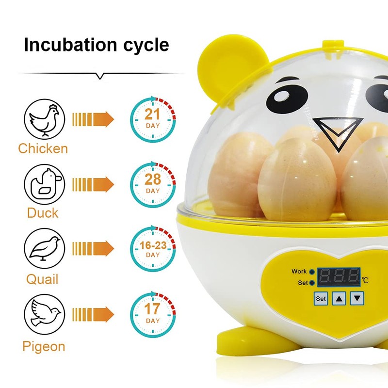 PAIDUOJI Home Use Incubator Automatic Temperature Control Digital Mini Egg