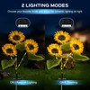 TANSOREN 3 Pack Solar Garden Lights Outdoor, 2 Lighting Modes