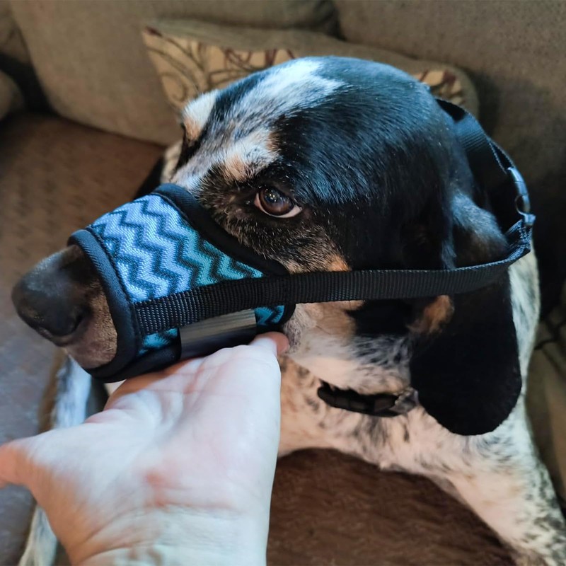 BDHYYM Muzzle for Dogs, Muzzle for Large Dogs, Adjustable Dog