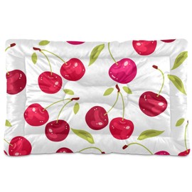 xigua Cherry Pet Bed, Soft Anti-Slip Dog Cat Bed Pet Mattress for Small Medium Large Dogs and Cats, 36 x 24 Inch