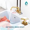 Aolemi Laundry Utility Sink Faucet Wall Mounted Laundry Tub Faucet