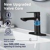 BELZ Matte Black Bathroom Faucet, Modern Single Handle One Hole