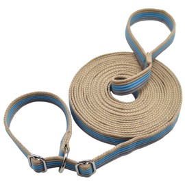 Boswany 10FT / 15FT / 20FT Anti-Choke Slip Lead Dog Leash, 1” Wide Soft Thick Long Training Leash for Strong Small Medium Large Dogs (blue-10ft)