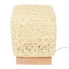 Rattan Table Lamp with LED Bulb USB Powered Decorative Hand