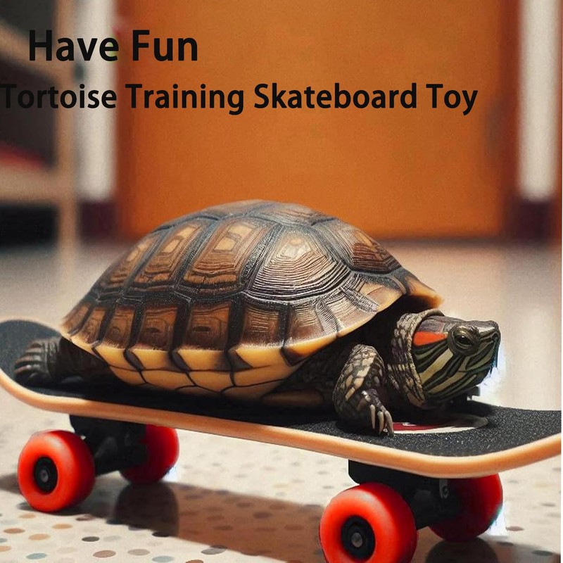 Lyfengdeam Adjustable Tortoise Leash and Funny Skateboard Set, Pet Tortoise