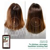 KLORANE [ANTI-HAIR LOSS] Quinine Shampoo (400ml) - For Thinning Hair