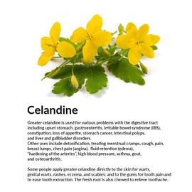 Transvital Celandine Tincture / 50 ml Cream with Extract of Celandine Powder / 30 ml