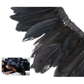 The Lord of the Tools 2m Black Goose Feather Fringe