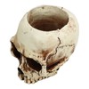 Skull Head Flower Pot Resin High Strength Clear Shape Skull