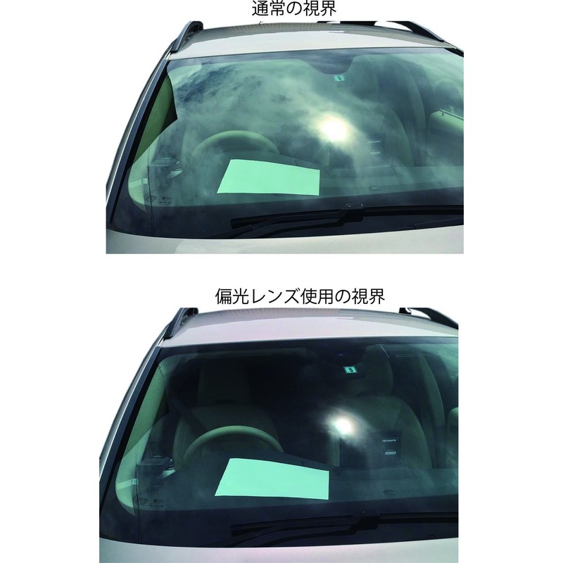 Face Trick Glasses PLOG01 Over Sunglasses, Polarized Lenses, UV Protection,