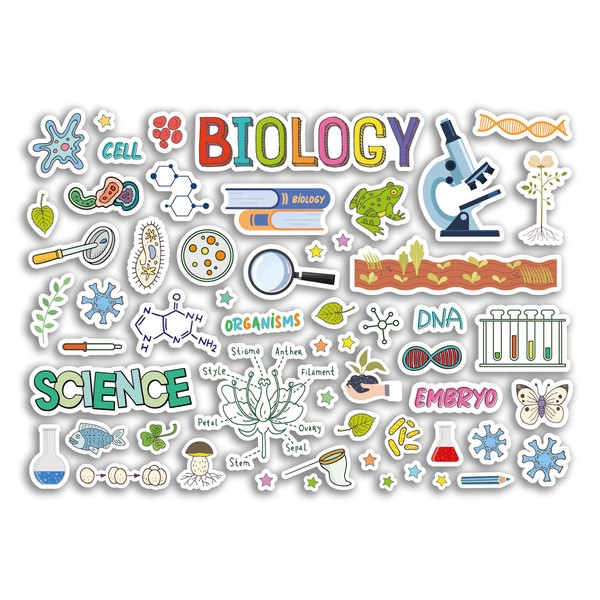 A4 Sticker Sheet Biology Vinyl Stickers - Science Triple Exams