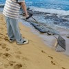 Sand Fleas Rake for Beach,Detachable 47 Inches Long Handle,Collapsible Shark