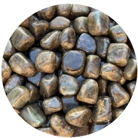 GAF TREASURES Wholesale Labradorite Tumbled Stones, Polished Labradorite Gemstone, Labradorite Healing Crystals (Labradorite, 0.25 Pound)