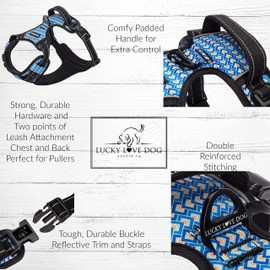 Lucky Love Dog No Pull Dog Harness, Adjustable and Easy to Walk, Cute Patterned Harness for Small Medium Large Male & Female Dogs - Murphy, Medium