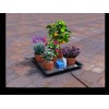 AutoPot easy2GO Kit
