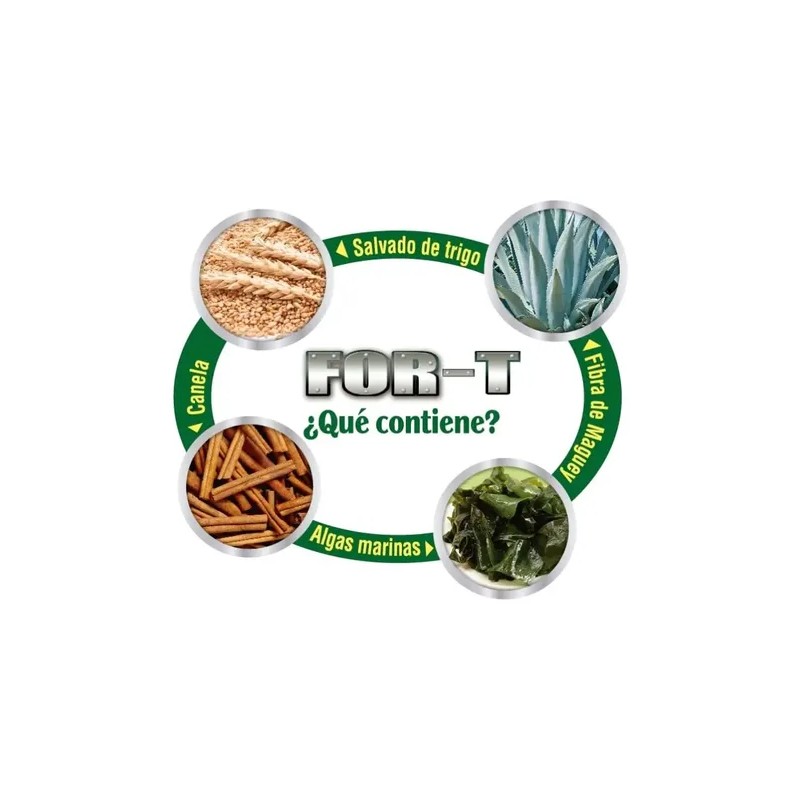 Suplemento en polvo For-T Fibra Proteínas de Maguey sabor natural