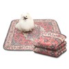 Paw Inspired Designer Print Dog Pads (2 Pack) | Premium