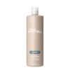 Paul Mitchell The Detangler Acondicionador, Hidrata y Mejora la Manejabilidad,