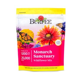 Burpee Wildflower Mix Monarch Sanctuary Seeds | 25,000 Non-GMO Seeds, 3 Types of Butterfly Weed Plus Cornflower, Lupine, Echinacea, and More | Pollinator Garden Attracts Monarch Butterflies