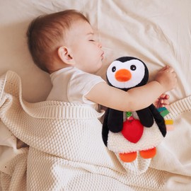 Pro Goleem Penguin Loveys for Babies Girl and Boy, Baby Lovey with Teether, Baby Toys 0 3 6 9 12 Months, Safety Teething Toys for Babies Infant Newborn and Toddler Baby Gifts