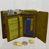 flevado Exclusive Women's Leather Wallet German Design Suede Wallet (Light