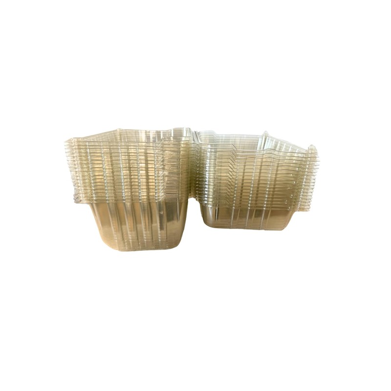 bark and lindy Plastic Berry Basket with Hinged Lids, Pint