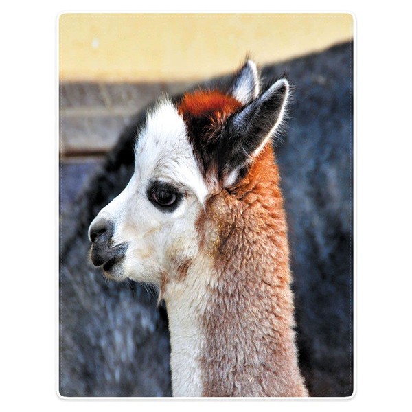 Zomer Fluffy Blanket Printed with Alpaca Motif, Grey, 125 x