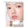 Sharp Master Palette Genuine Highlight Shading 4 in 1 Nose