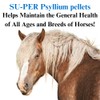 SU-PER Psyllium Pellets Equine Supplement - Maintains Healthy Digestive Tract