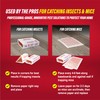 Catchmaster Mouse & Insect Glue Boards 60pk, Mouse Traps Indoor