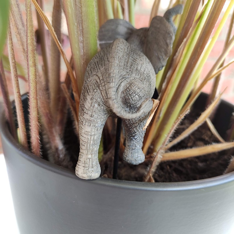 Vivid Arts - Elephant - PLP - 145