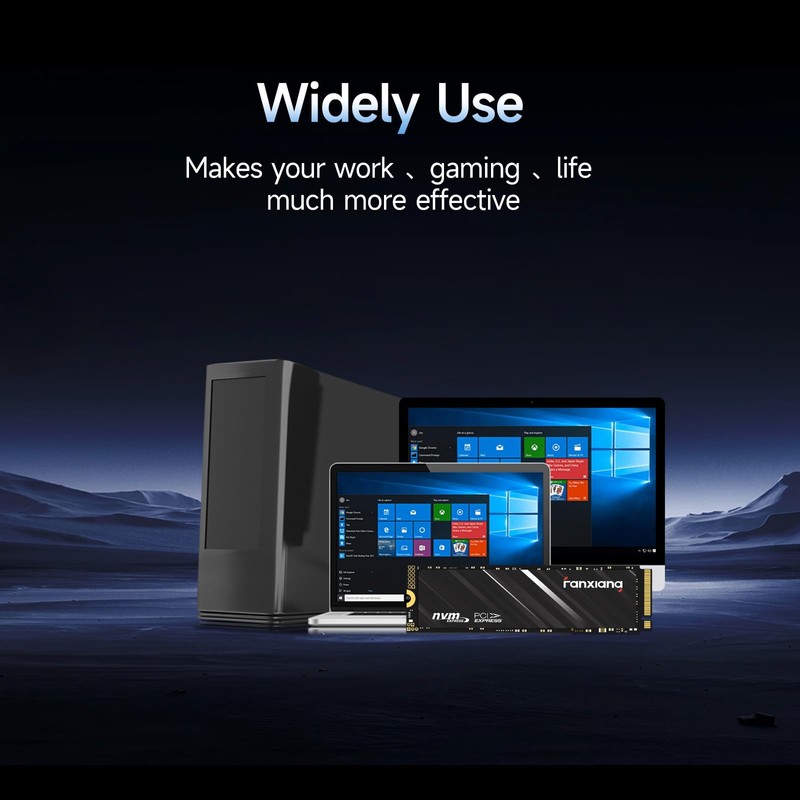 fanxiang S501Q SSD 512GB PCle 3.0x4 Internal Solid State Drive,
