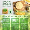 ANECO 100% Compostable Waste Bags 2.6 Gallon (Flat Top Bags,