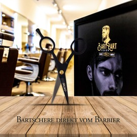 BartZart Beard care set.