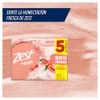 Zest Jabón de Tocador, Toronja/Albahaca, 90 gr, Paquete de 5