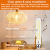 Vinaco T10/T30 LED Edison Bulb, 2 Pack Dimmable No Flicker