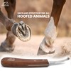 Equine Care Left-Handed Hoof Knife - Precision J2 Steel Short