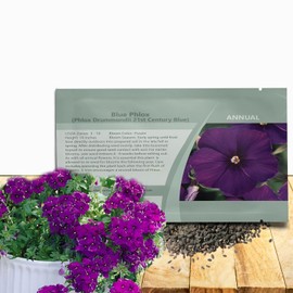 Outsidepride Purple Phlox Seeds - 25 Pcs Annual, Compact & Self-Seeding Flower Seeds for Planting Vibrant Purple Blooms in Pollinator Gardens, Borders, Containers & Floral Arrangements